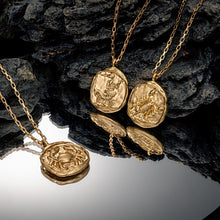 Load image into Gallery viewer, Vintage Gold Plated Carved Zodiac Constellation Necklace
