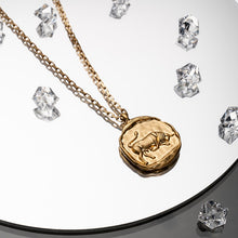 Load image into Gallery viewer, Vintage Gold Plated Carved Zodiac Constellation Necklace
